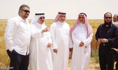 مستثمرون سعوديون يقطفون أولى ثمار الاستثمار الزراعي الخارجي في مصر
