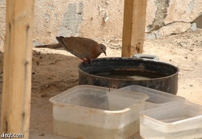 أهل الخير