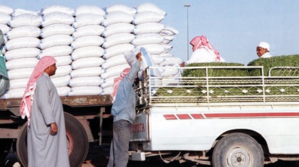 الدولة مفتاح الحل لأزمات الشعير.. و3 مقترحات عاجلة لحماية المربين من الاستغلال