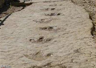 اكتشافات أثار أقدام ديناصورات في شمال صنعاء