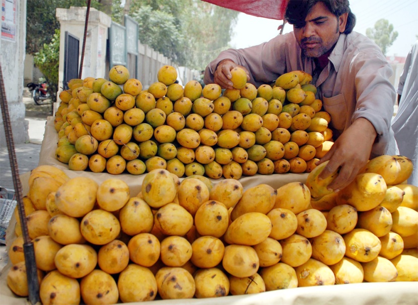 باكستاني يبيع فاكهة المانجو في مدينة مولتان التي تنتج 100 نوع من المانجو منها 10 أنواع فائقة الجودة.