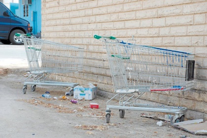 رحلة عربة!