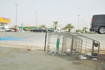 رحلة عربة!