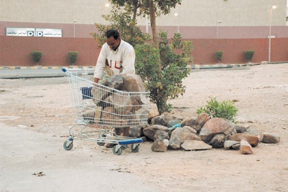 رحلة عربة!