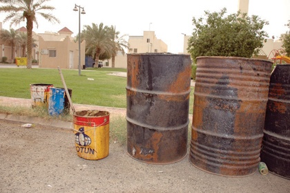 في النخيل!