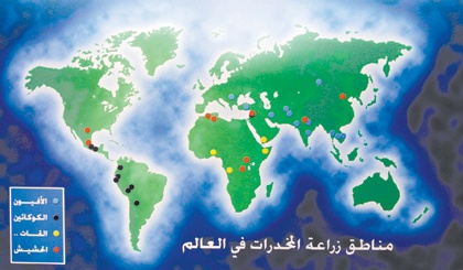 برنامج «منتصف الطريق» ينقذ 17 ألف مدمن في الشرقية