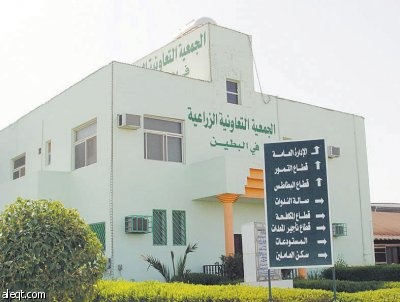 الجمعيات التعاونية.. لماذا تتوارى؟