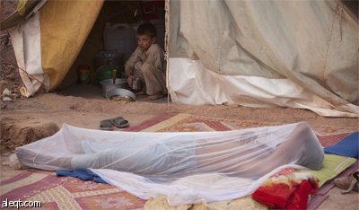 الحكومة الباكستانية تدعو 2 مليون نازح من وادي سوات للعودة إلى ديارهم.