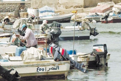 الجمعية التعاونية للصيادين .. هل تعيد الإرث المفقود