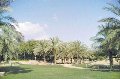 المنتزهات الخيار المفضل لسكان العاصمة في الإجازة
