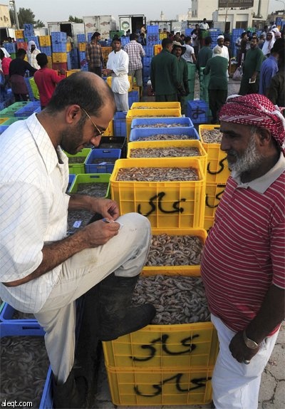 سعودي يبيع الجمبري في سوق المأكولات البحرية في الدمام.