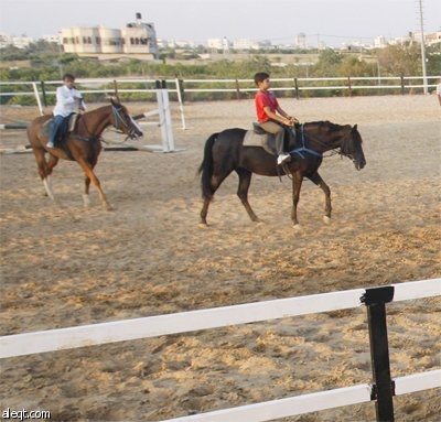 فارس فلسطيني يعرض بعض مهاراته خلال دورة تدريبية في نادي الخيل في مدينة غزة.