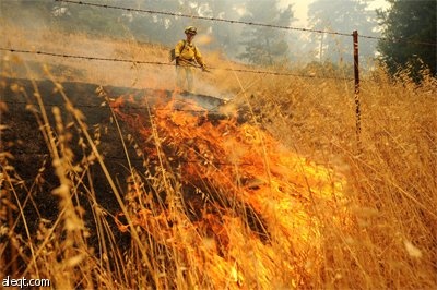 إنتشار حرائق الغابات في كاليفورنيا