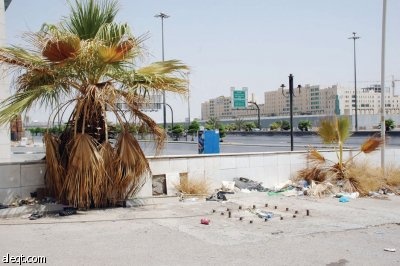 في طريق الملك فهد