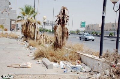 في طريق الملك فهد