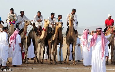 سعوديون يحضرون سباق الهجن المقام في محافظة خليص على بعد 85 كيلومترا إلى الشمال الشرقي من جدة.