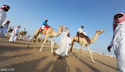 سعوديون يحضرون سباق الهجن المقام في محافظة خليص على بعد 85 كيلومترا إلى الشمال الشرقي من جدة.