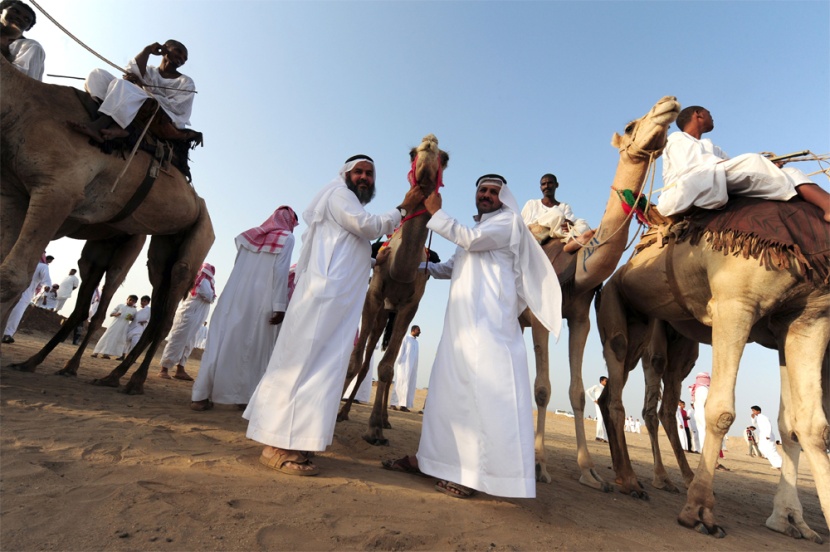 سعوديون يحضرون سباق الهجن المقام في محافظة خليص على بعد 85 كيلومترا إلى الشمال الشرقي من جدة.