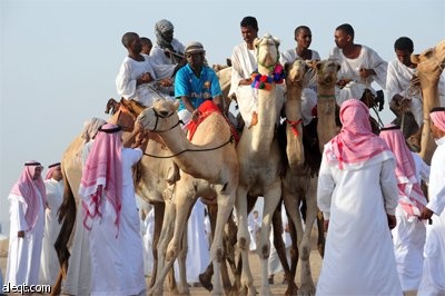 سعوديون يحضرون سباق الهجن المقام في محافظة خليص على بعد 85 كيلومترا إلى الشمال الشرقي من جدة.