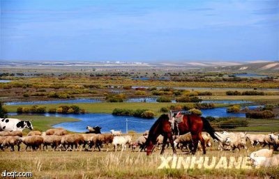 مناظر خريفية لهولون بوير في مقاطعة منغوليا الداخلية في الصين.