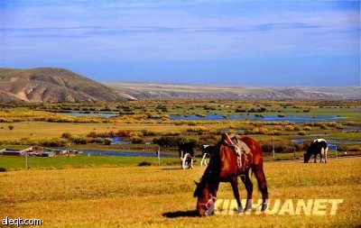 مناظر خريفية لهولون بوير في مقاطعة منغوليا الداخلية في الصين.