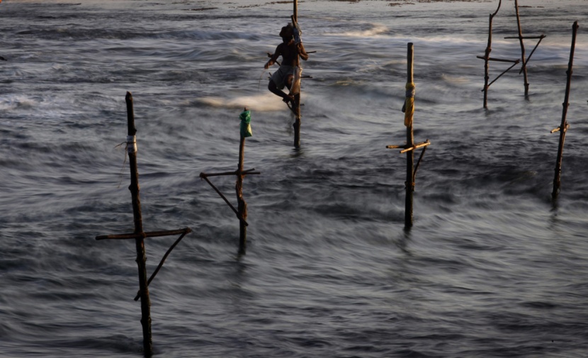 صيادون (STICK FISHER) يصطادون ويجلسون على العصى للصيد في وسط البحر ويعدون أحد المعالم الرئيسة في سيرلانكا.