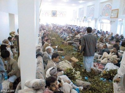 البنك الدولي يشنّ حربه على «قات اليمن»