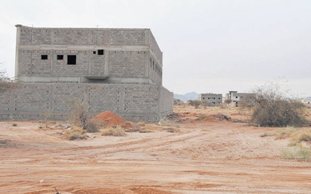 منازل جديدة تجاور أشجار الطلح  في حائل