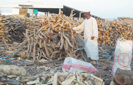 جدة: ارتفاع الطلب على الحطب والفحم 20%