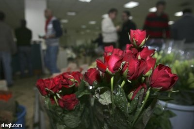 هم يختزلون الحب في يوم  فالنتين Valentine Day..ونحن لدينا الحب كل يوم