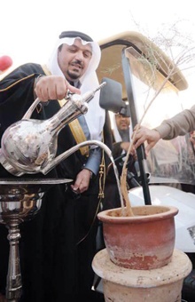 عنيزة تحتفل بـ «الغضا» وتوفر 700 وظيفة مؤقتة للرجال والنساء