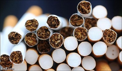 تقرير أسترالي يكشف عن استخدام دم الخنزير في صناعة السجائر