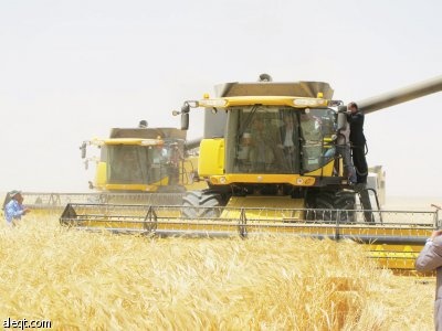 68 % يؤيدون الاستثمار الزراعي في الخارج