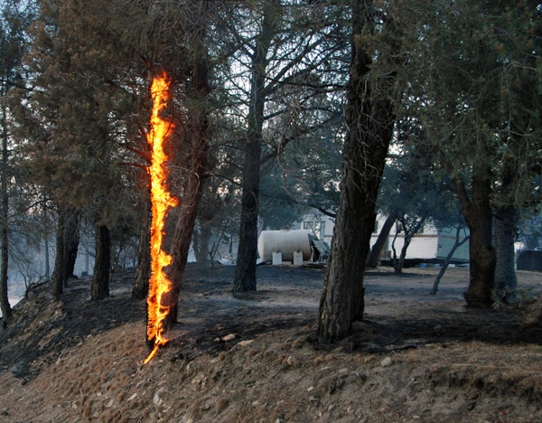 حريق هائل يلتهم غابات وعدت منازل في مقاطعة كيرن الأمريكية