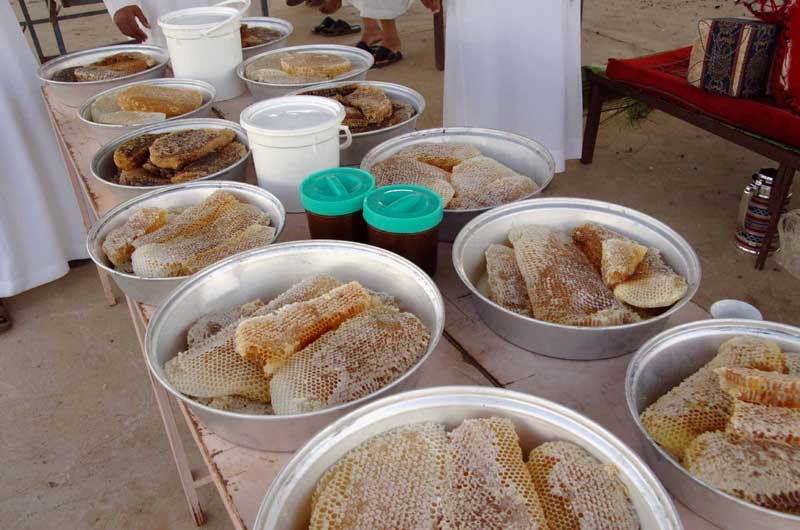 5000 نحال سعودي ينتجون 9 آلاف طن عسل سنويا وأسعارة بين 200  - 700 ريال