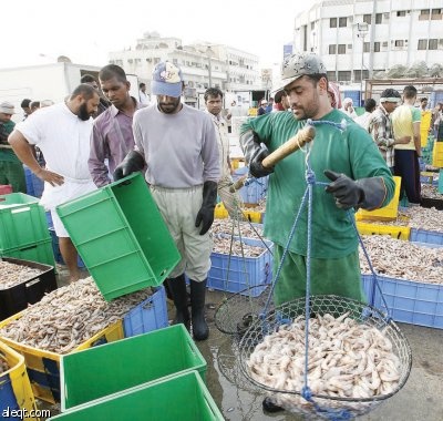 اليوم.. مواويل الصيادين ترتفع في الخليج