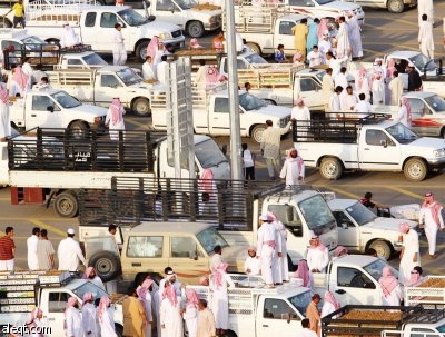 رمضان يلهب أسعار التمور والأفراد ينافسون الشركات