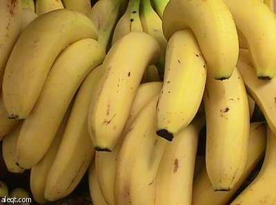 دراسة بريطانية تظهر فوائد الموز في معالجة مشاكل المعدة