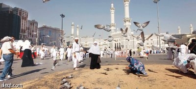 صور من المشاعر