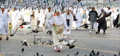صور من المشاعر