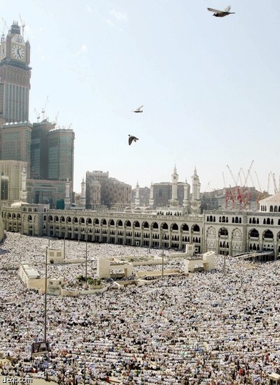 «وَأَذِّن فِي النَّاسِ بِالْحَجِّ يَأْتُوكَ رِجَالاً وَعَلَى كُلِّ ضَامِرٍ يَأْتِينَ مِن كُلِّ فَجٍّ عَمِيق» («سورة الحج - آية 2