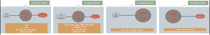 تعقب مصادر أموال جمعها 149 إرهابيا بعد إجهاض مخططات 19 خلية