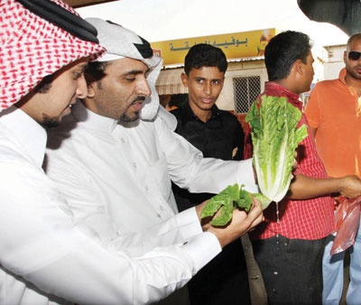 خضار الصرف الصحي وورقياته .. من يحمينا؟