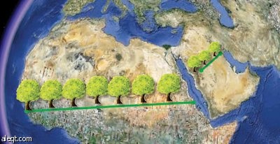 «السور الأخضر» يوقف التصحر ويزيد الأمطار في الجزيرة العربية