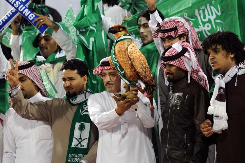 الصقور يتذيلون المجموعة