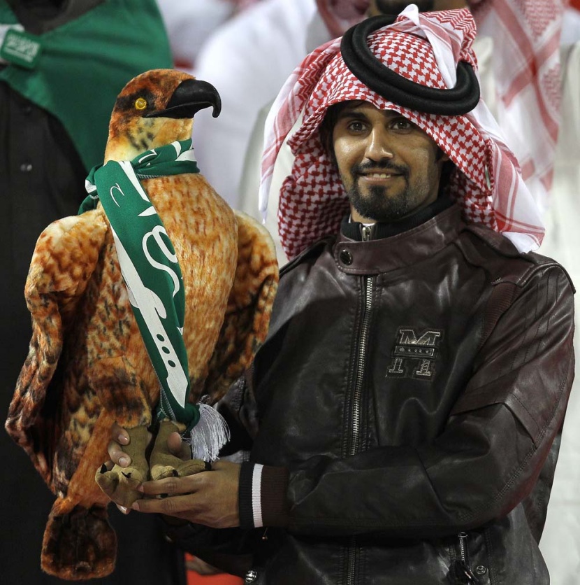 الصقور يتذيلون المجموعة