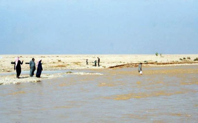الرياض: الكشاتة يستبشرون بأول الغيث.. جريان شِعْبان صلبوخ وملهم ودقلة