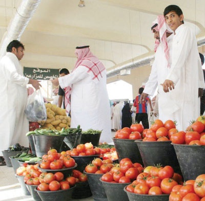 يوم المزارع .. تجربة للبيع دون وسيط وتطبيق فحص الخضراوات