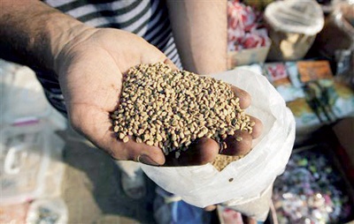 أوروبا: حظر الحلبة المصرية وسحبها من الأسواق لصلتها بـ «إي كولاي»