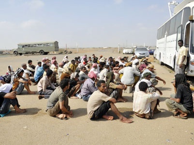 «حرس الحدود» يحبط تهريب 3200 رأس من الماشية إلى جازان